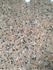 Teja del granito del rosa del granito 60x60 de la decoración interior G635 para la pared y el suelo