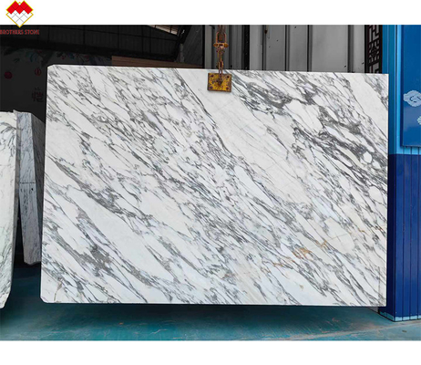 Pared y piso de diseño moderno Blanco nieve de mármol de mesa con venas marrones