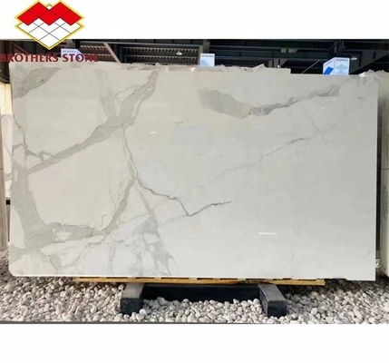 Decoración del hogar Vientre de pez moderno Láminas de piedra de mármol blanco para salón y azulejos de suelo