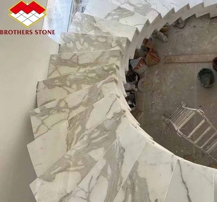 Decoración del hogar Vientre de pez moderno Láminas de piedra de mármol blanco para salón y azulejos de suelo