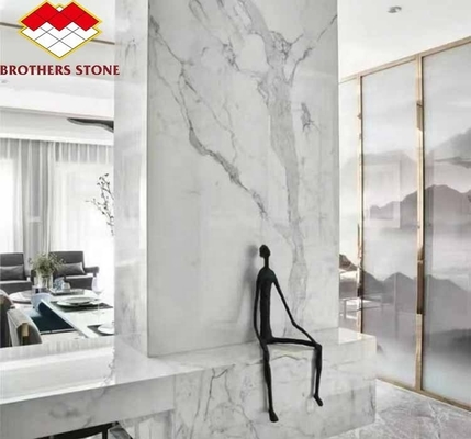 Decoración del hogar Vientre de pez moderno Láminas de piedra de mármol blanco para salón y azulejos de suelo