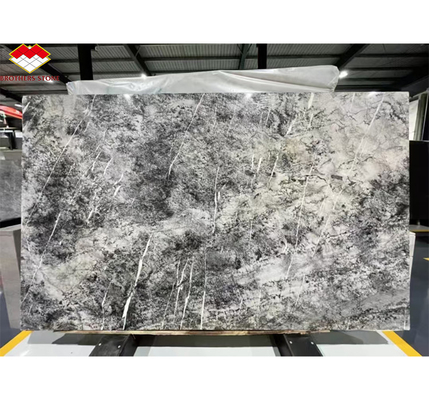 Piedra natural italiana de abeto plateado Negro gris aspecto de mármol de textura de la losa para el panel de la pared de la casa