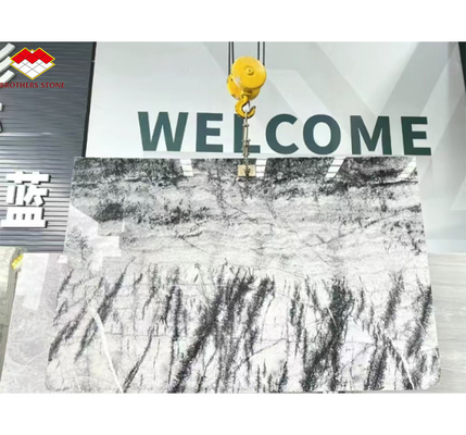 Piedra natural italiana de abeto plateado Negro gris aspecto de mármol de textura de la losa para el panel de la pared de la casa