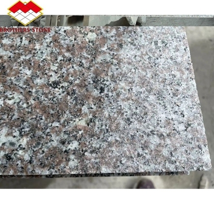 Moderno pulido natural rosa Porino Granito Llaga G664 Cortado a medida China Rosa Porno Rosa precios