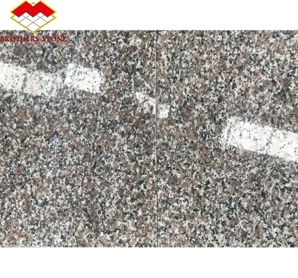 Modern G664 proveedores losas de granito 60x60 Porrno azulejos de granito para diseños gráficos de parques