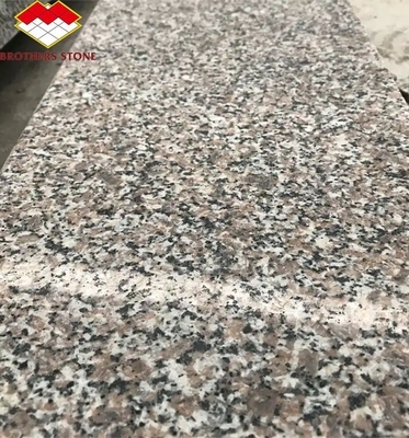 Modern G664 proveedores losas de granito 60x60 Porrno azulejos de granito para diseños gráficos de parques