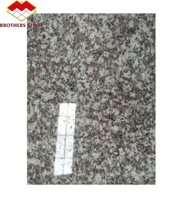 Modern G664 proveedores losas de granito 60x60 Porrno azulejos de granito para diseños gráficos de parques