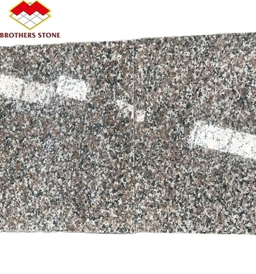 Modern G664 proveedores losas de granito 60x60 Porrno azulejos de granito para diseños gráficos de parques