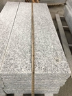 Resistencia pulida G603 del álcali de la losa de la teja de la piedra del granito para la encimera